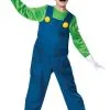 Deluxe Nintendo Super Mario Bros Luigi Kostüm Für Kinder